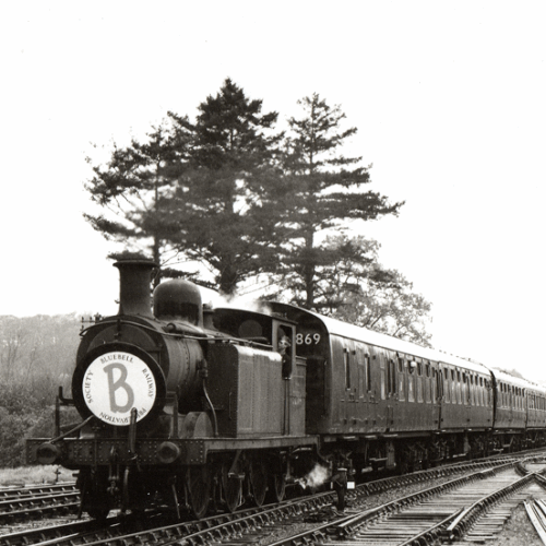 Eridge-22Apr1961-E4-32564-E4-32503-Bluebell-Special-DavidClark-1