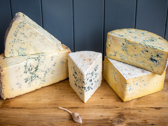 regionalcheese 1 (1)